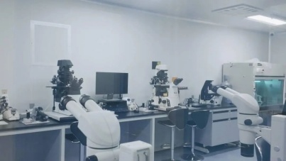 亚洲新纪录！成都企业实现异种肾移植重大突破