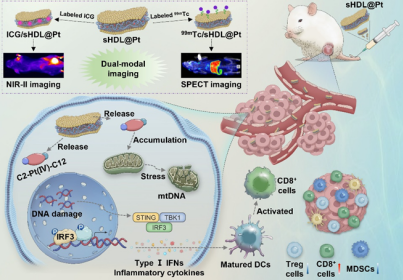 多兵种联合作战：中国肿瘤精准医疗实现新突破