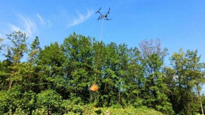 无人机助力重庆秀山山地农业，南瓜运输效率提升十倍