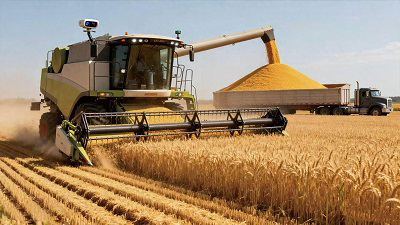 科技赋能农业新时代：中国饭碗端稳