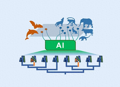 AI破译生命演化密码：我国团队利用蛋白语言模型揭示适应性趋同机制