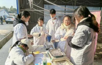 博士团队科技赋能岳阳王鸽 22亿产值背后的智慧农业实践