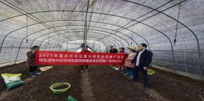 山区药香漫科技 产学研共育致富苗