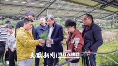 科技助跑息烽“棚下药园” 省级专家深入基地送技术