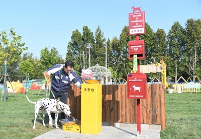 AI赋能宠物产业 它经济迎来新增长空间