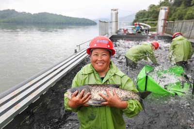 万安生态鱼游出富民路 全链融合激活乡村振兴