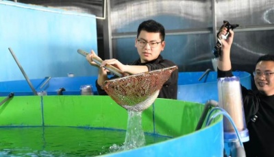 内陆科技“驯海”育鲜味 人工海水滋养活鱼游入西南餐桌